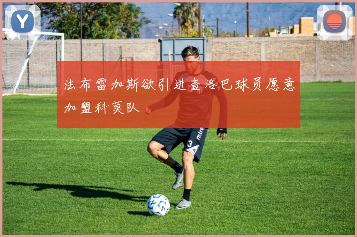 法布雷加斯欲引进查洛巴球员愿意加盟科莫队