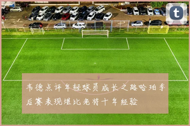 韦德点评年轻球员成长之路哈珀季后赛表现堪比老将十年经验